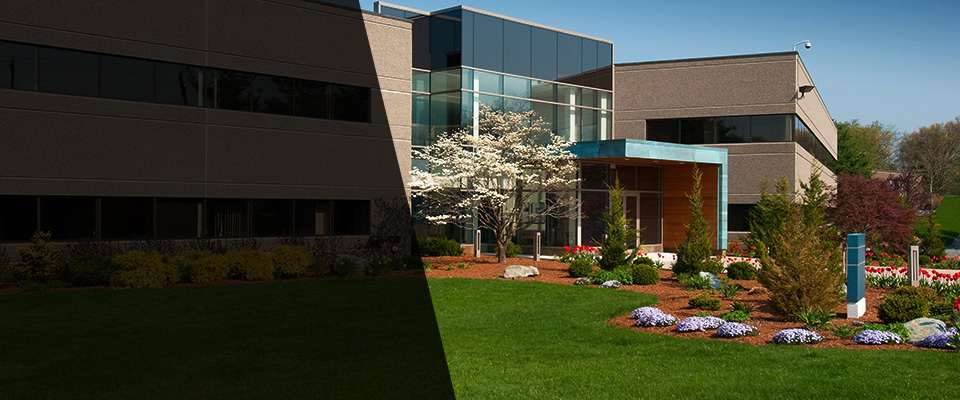 Mineola Landscapers