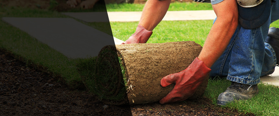 Mineola Landscapers